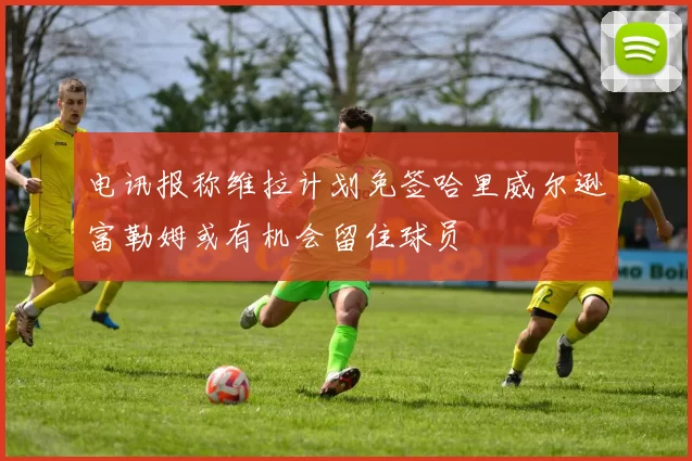电讯报称维拉计划免签哈里威尔逊富勒姆或有机会留住球员